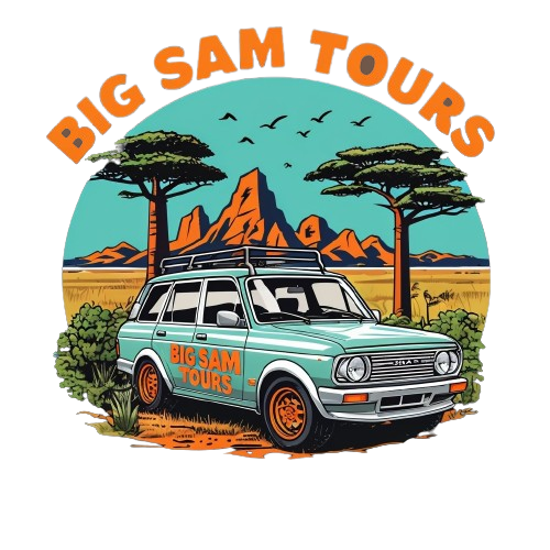 BG SAM TOURS LOGO